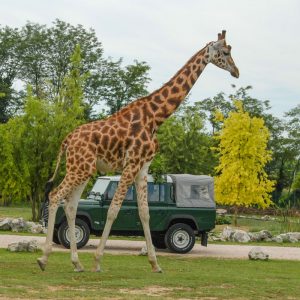 אגם גארדה עם ילדים