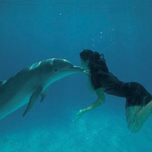 פארק זומארין רומא